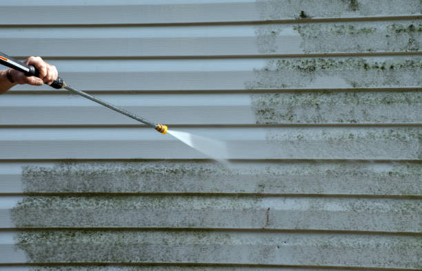 Best Roof Power Washing Services  in Cresco, IA