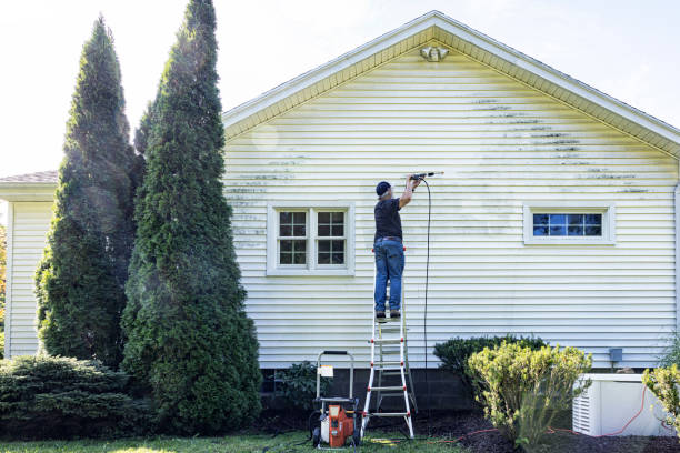 Best Fence Pressure Washing  in Cresco, IA