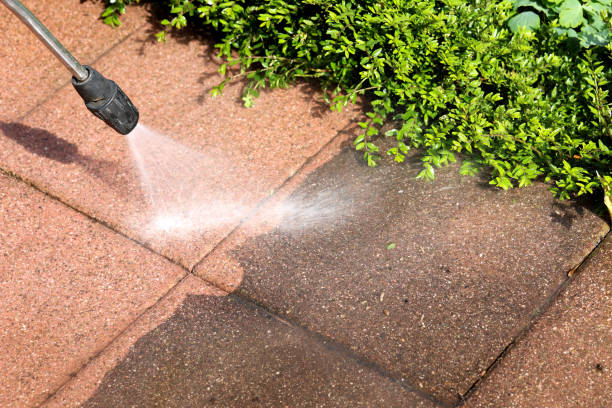 Best Best Pressure Washing Companies  in Cresco, IA