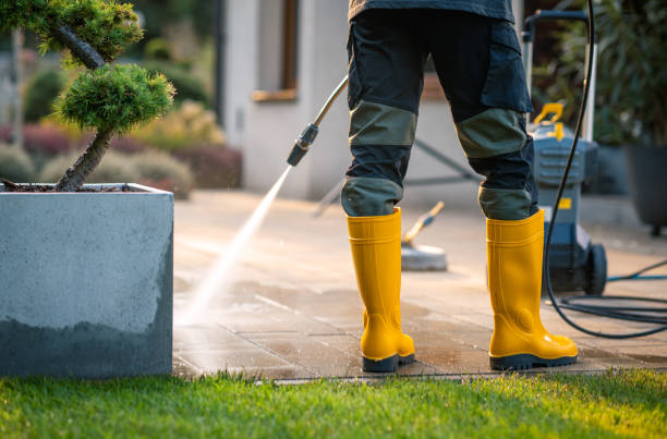 Best Affordable Pressure Washing  in Cresco, IA